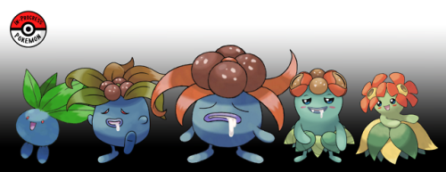 inprogresspokemon:#043.5 - Oddish remain semi buried during the day, exposing only their leaves to r