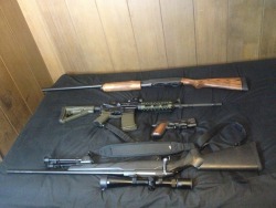 45-9mm-5-56mm:  dieselandgunsmoke:  My company for this evening. Time for their bi-weekly cleaning.      (via TumbleOn)