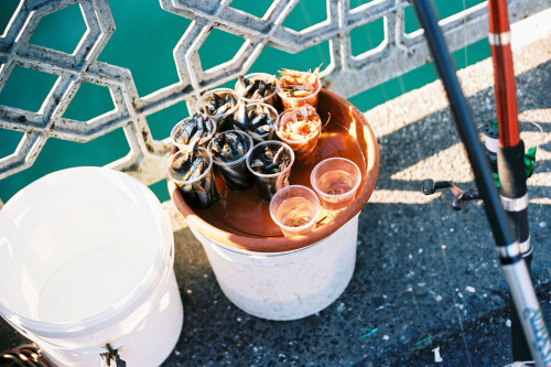 A fisherman’s bucket