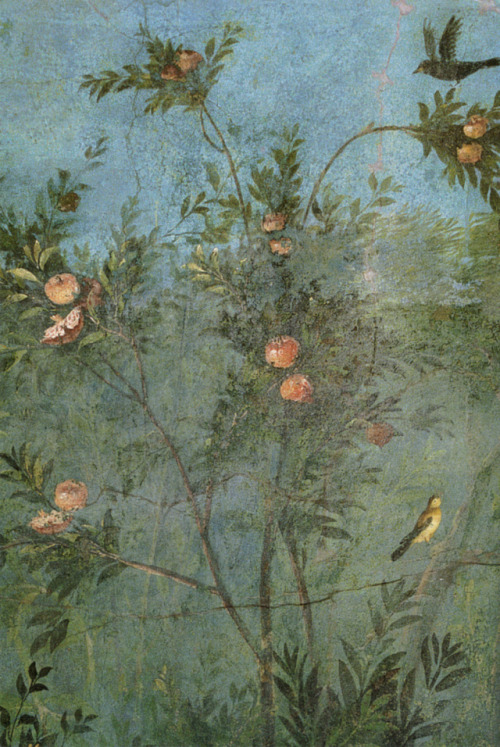 loumargi:villa of livia garden frescos southern short wall plant with birds