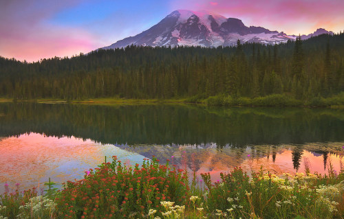 expressions-of-nature: Mount Rainier, Washington by Ania Tuzel Photography