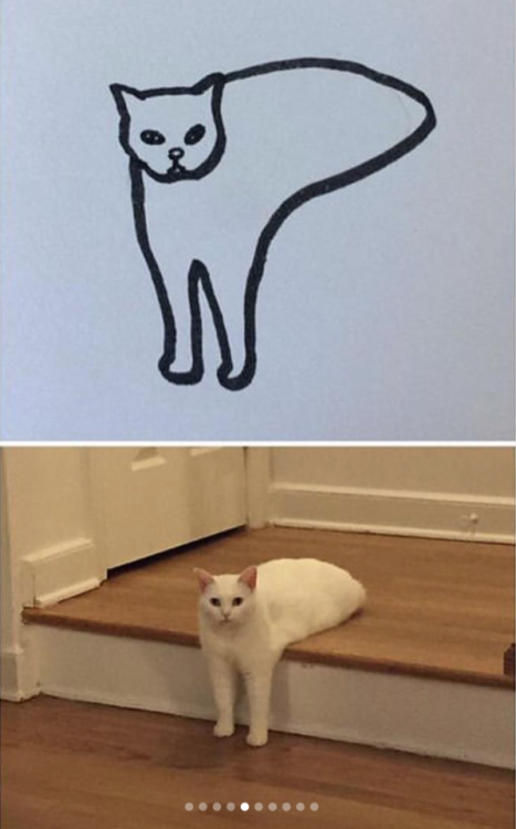 When your teacher keeps saying you can’t draw cats, but your paintings are photorealistic