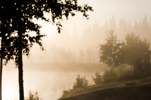 tiinatormanenphotography: Sunrise mood.  July 2017, Syöte, Finland.  by Tiina Tö