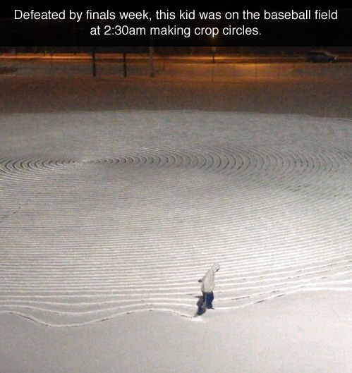 curiousillusions:  stuckinamini-van:  sixpathsofbased:  College is a fucked up place  Finals fried this kid’s brain so bad that he’s trying to communicate with another plant to get him the fuck out of here before next year’s finals.  Plant 