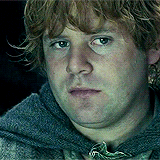 ianmckellen:  lotr meme: nine characters (5/9) → Samwise Gamgee &ldquo;You’ve