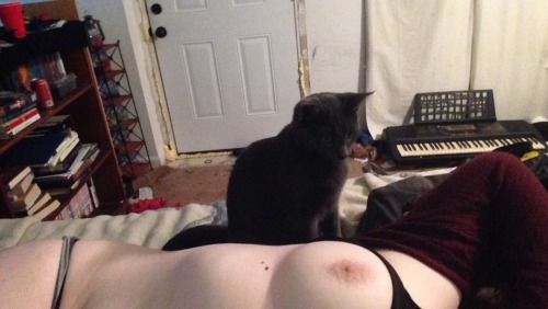 naughty-m00se:  Talon go home I’m trying to be sexy damnit 