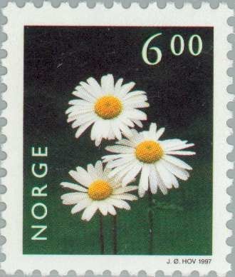 stamp-it-to-me:two 1997 Norwegian stamps from a series on flowers[id: two postage stamps, both with 