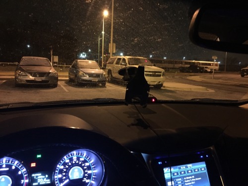 It started snowing ten minutes ago and it’s sticking already.