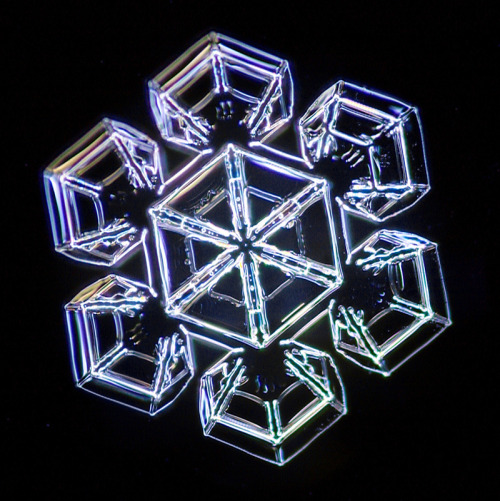 samlapoint:  Though no two snowflakes are alike, they commonly share what appears to be a three dimensional cube at the center, which is a true testament toward sacred geometry in nature. When you also consider the fact that snowflakes are formed from