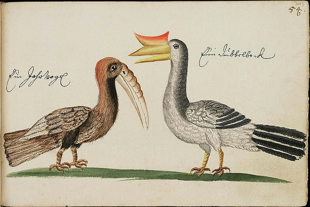 design-is-fine:  The Batavia Journal, 1669 - 1682. These illustrations come from