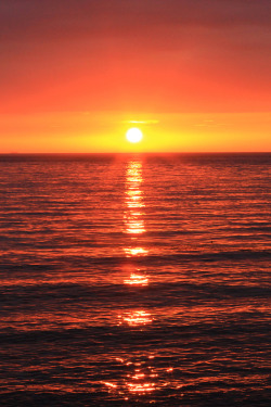 captvinvanity:  Ocean sunset | Photographer