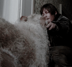 slayere-deactivated20160507: Daryl trying to help abandoned animals in the midst