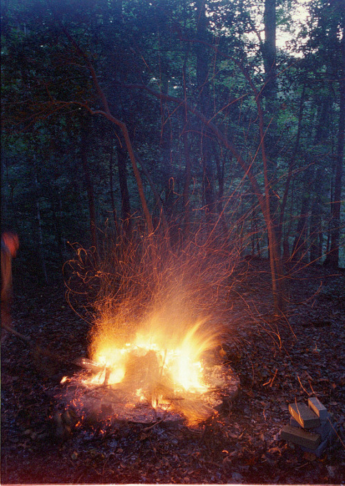 brutalgeneration:  By jaime boddorff 
