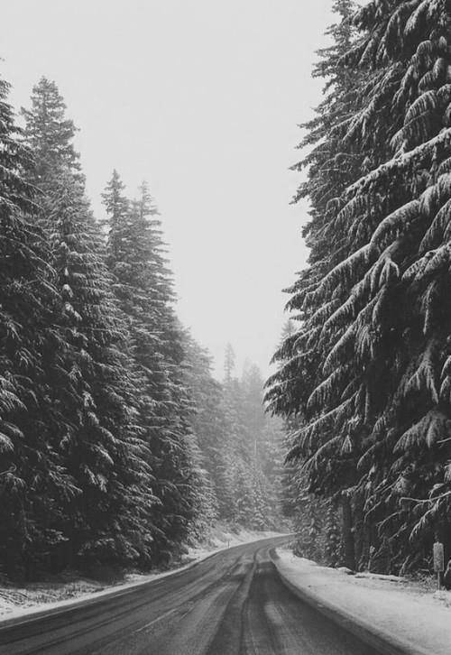 Elegy for a Dream