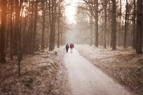 perfectmadness:  (by alexander ward)
