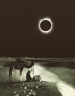 trashriotart:  “Desert Eclipse”  https://society6.com/product/desert-eclipse-a5s_print#1=45 