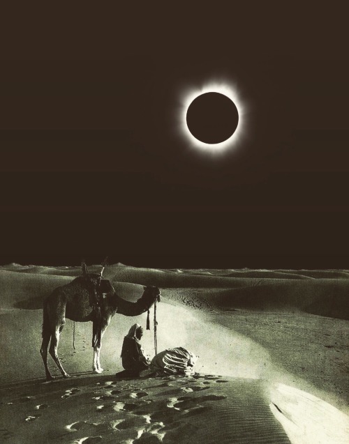 trashriotart:  “Desert Eclipse”  https://society6.com/product/desert-eclipse-a5s_print#1=45 adult photos