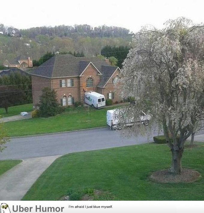 omg-pictures:YOUR FUCKING PACKAGE HAS ARRIVEDhttp://omg-pictures.tumblr.com