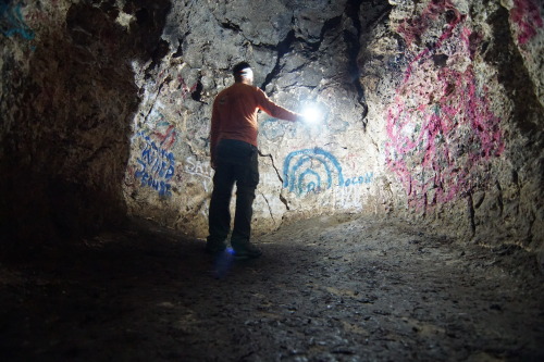 goodcopbearcop: Exploring Dames Caves Florida’s Bedrock is karst limestone, basically it is ex