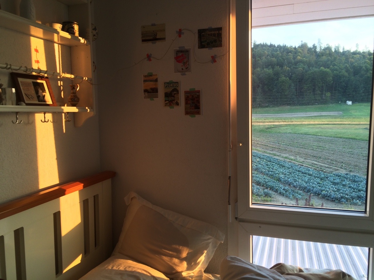 alkalisch:  Light is nice 