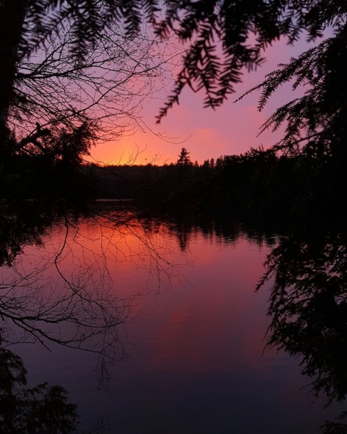 lavenderwaterwitch:Our last night Camping we were blessed with such a gorgeous sunset ✨ have you ev