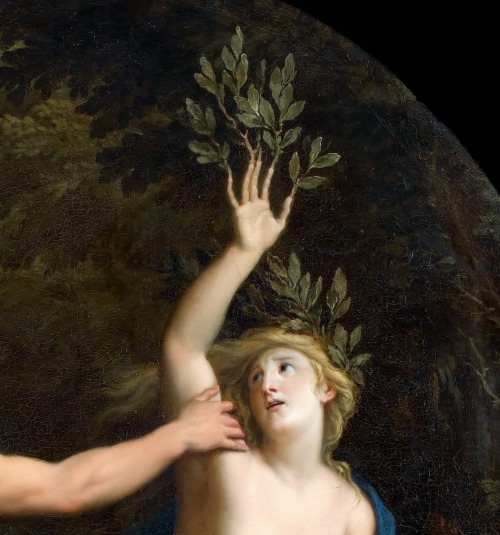 Apollo and Daphne (1677)by René-Antoine Houasse (1645–1710)