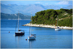 evguenilykov:  Island Mljet, Croatia