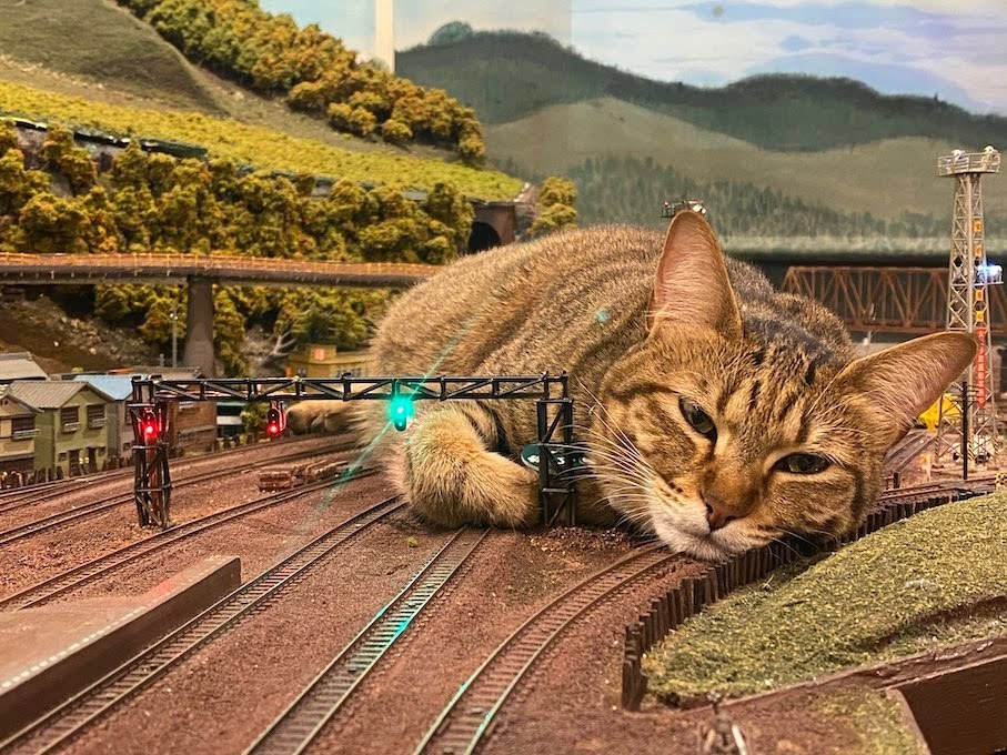 his-shining-tears:Cats and train miniature