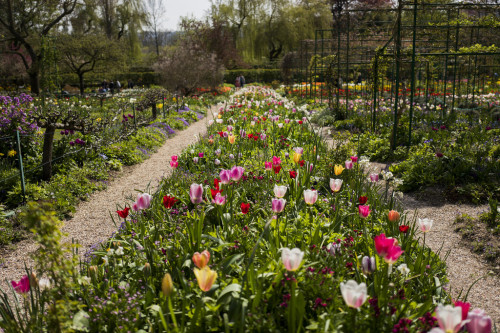 myend-ismybeginning:   Giverny & Monet’s Gardens  