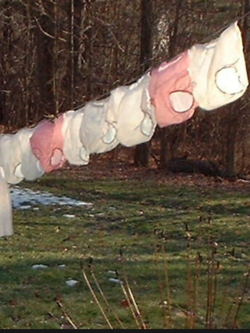 stillinnappies: Wish these were in my garden. “SURE DO WISH I COULD FIND THESE PLASTIC PANTS S