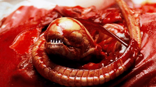 ashwilliam: endless list of my favourite movie monsters: facehuggers, xenomorphs - alien (1979)