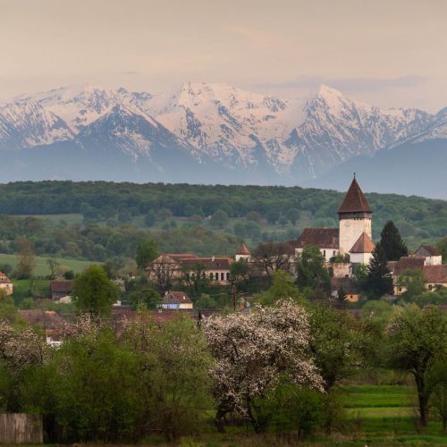  Hosman, Sibiu, Romania   tudor_lozba
