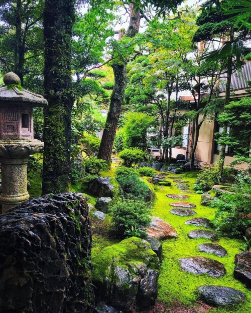 丸茂旅館庭園 [ 鳥取県鳥取市 ] Marumo Ryokan Garden, Tottori の写真・記事を更新しました。 ーーJR鳥取駅から徒歩７分。大正時代創業の温泉旅館♨️の苔の美しい庭園。源