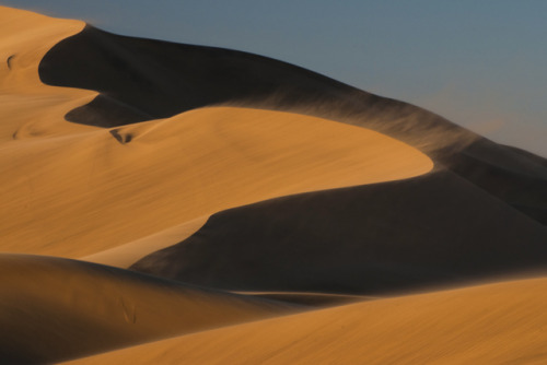 Sand dunes in Namib-Naukluft National Park