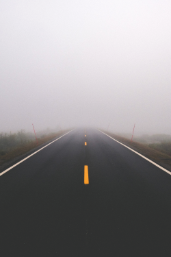 orgvnized:  MISTY ROAD   - (ᴏʀɢᴠɴᴢᴅ)   