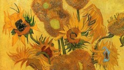 gogh-save-the-bees:  🌻🌻🌻