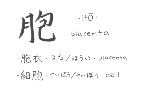 1237/2000JLPT: N1School Grade: Junior high schoolThis character is a combination of 月 flesh/of the b