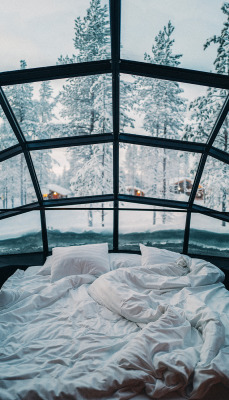 wild-cabins:ANASTASIA VOLKOVA