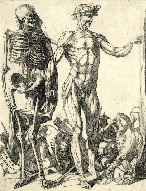 Anatomical Study: Écorché and Skeleton (c.1540/50 - Engraving) - by Domenico del Barbiere, after Ros