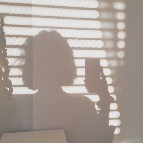 Sunlight And Coffee Breaks