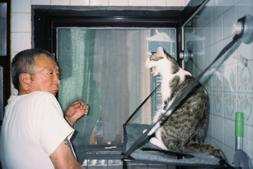 When #daddy_lee met Guabao the cat.