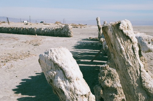 peterjnelsonphoto:Salton Sea, December 2016Remarkable shots - the Salton Sea is something of an envi