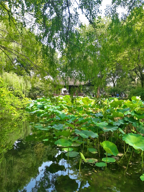 The Humble Administrator’s Garden in Suzhou, Jiangsu