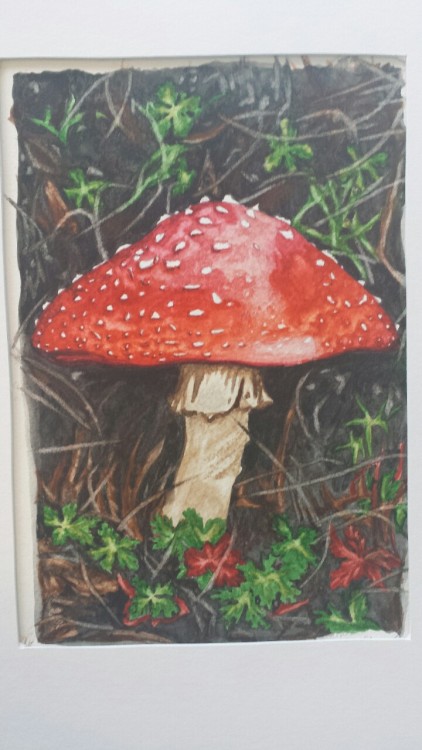 professorsilly:  My water colour final project.