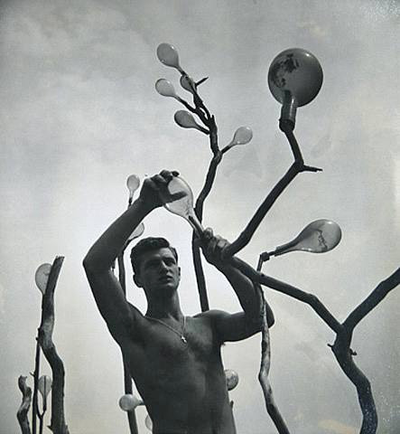 joeinct:Chianti Tree, Fire Island, Photo by George Daniell, 1950