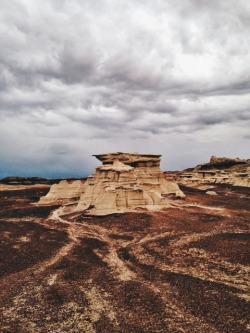 danielodowd:  Toby Harriman 