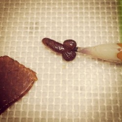thcdoll710:  #TBT to last year when @errlofig took the best dab of life!! Hahaah i love you, you’re hilarious! 💛😹 #penisdabs #errlofig #funny #cocknballs #dabbedthat