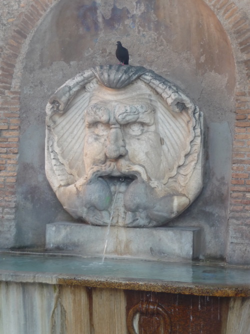 TOURISM TIPS: Aqua, water, wasser, eau, H20 - Big Noses in RomeA bit off topic, but since it’s a tou