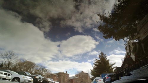 i’ve been doing a thing where i take pictures of puddles and rotate them, so they look like li