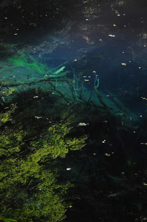 intothegreatunknown: Deep clear blue | Aoike, Japan (by fukui_norisuke)